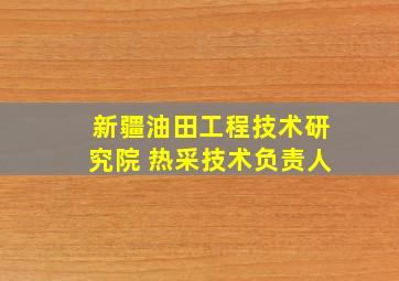 新疆油田工程技术研究院 热采技术负责人